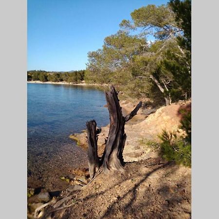 Face Mer Entre Plage Et Marina Bormes-les-Mimosas Buitenkant foto