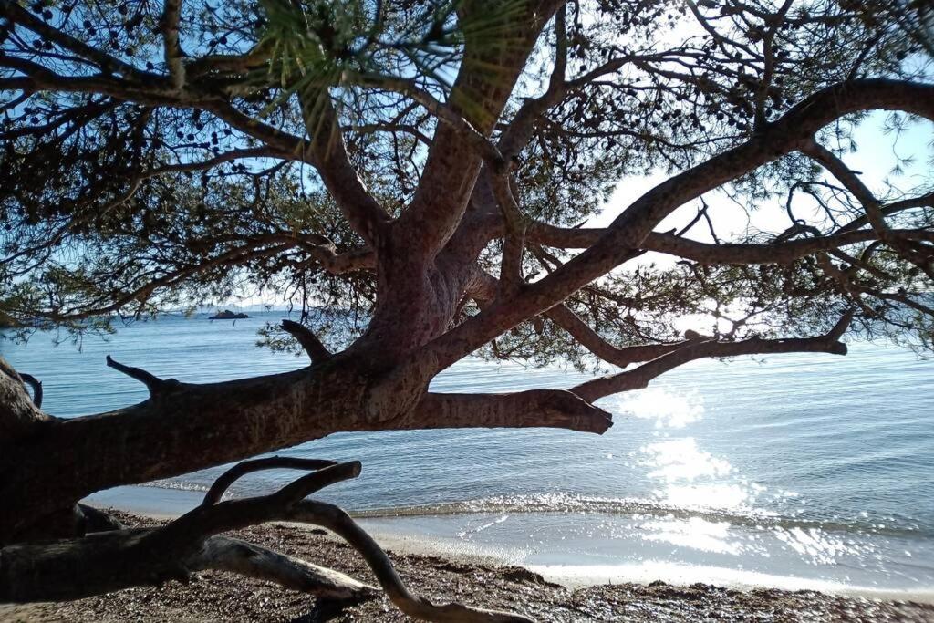 Face Mer Entre Plage Et Marina Bormes-les-Mimosas Buitenkant foto