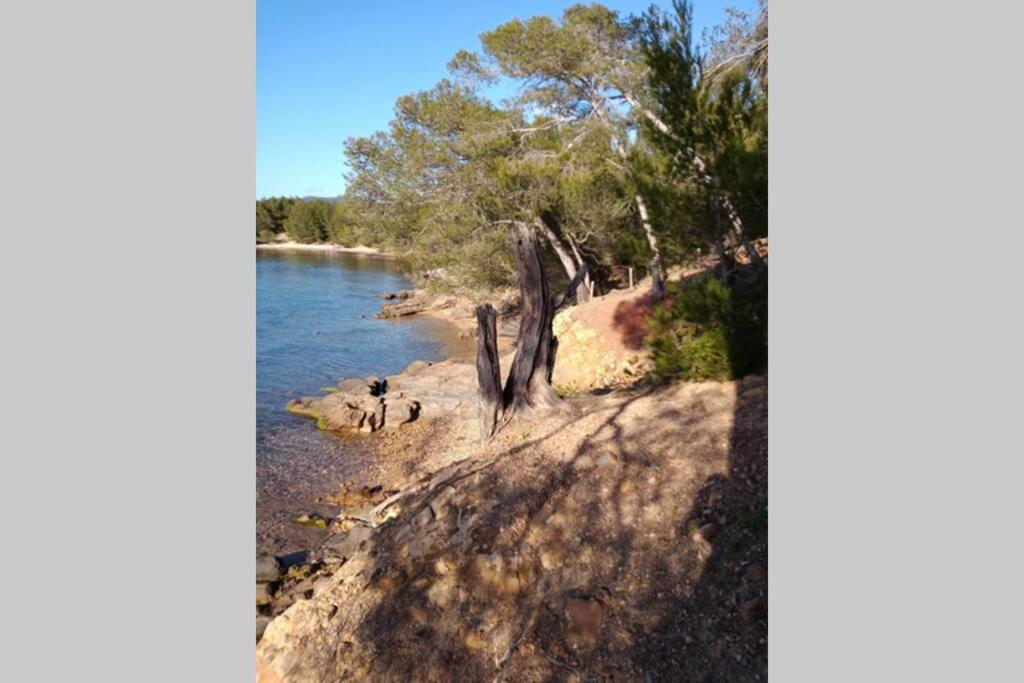 Face Mer Entre Plage Et Marina Bormes-les-Mimosas Buitenkant foto
